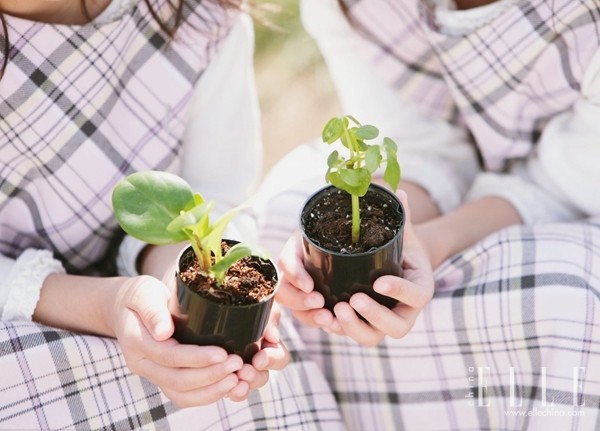 异地恋要怎么才能维持下去,异地恋要怎么维持才能长久
