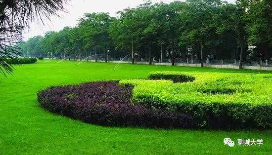 看不见的沟通,看不见的对话