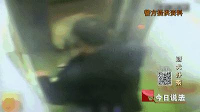 十大最可怕暴力犬,十大极度可怕暴力犬