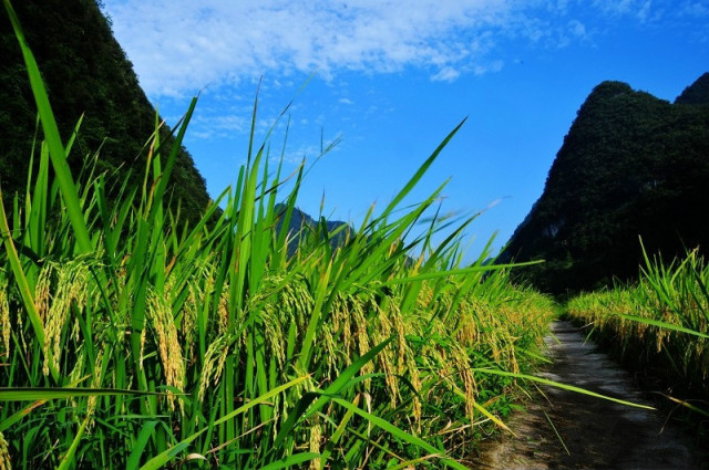 贵州风景区荔波小七孔,贵州黔南荔波佳荣镇景区