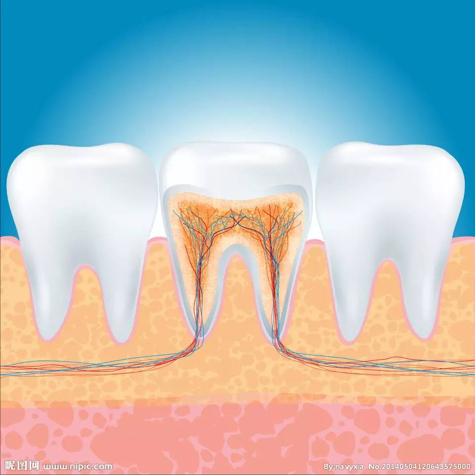 牙齿收藏有什么用,如何收藏自己的牙齿