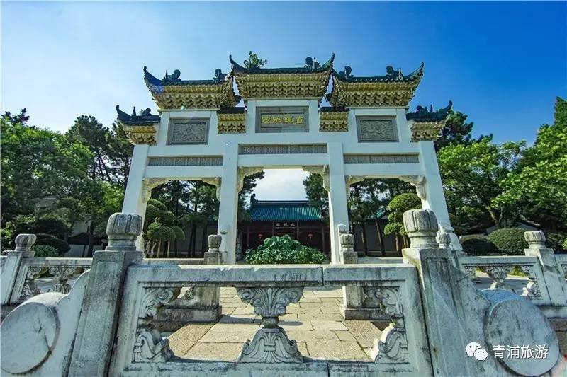 青浦限时特惠,青浦周末好去处