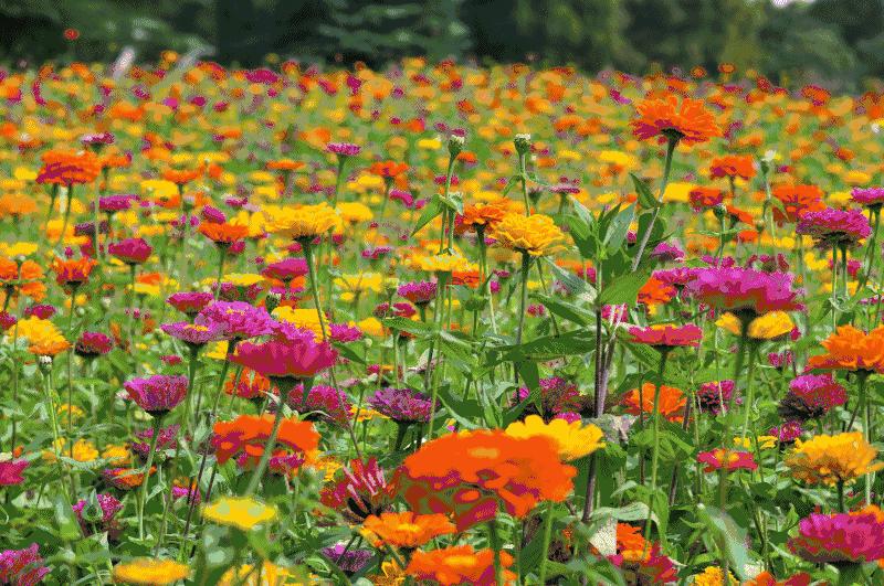 家住福州仓山,印象仓山的真实生活