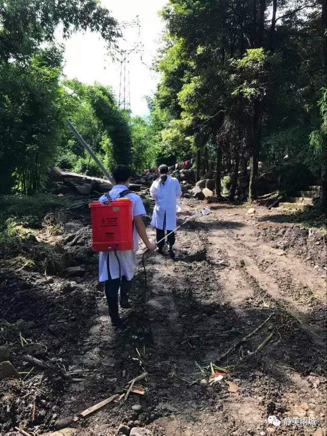 汛后疾控消杀工作,汛后防疫消杀工作开展情况