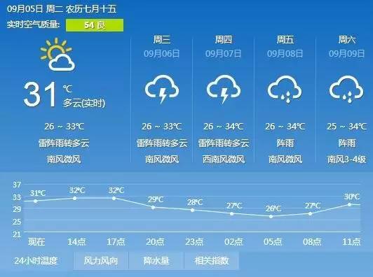 广西特产排名前十名品种,广西玉林的十大名茶