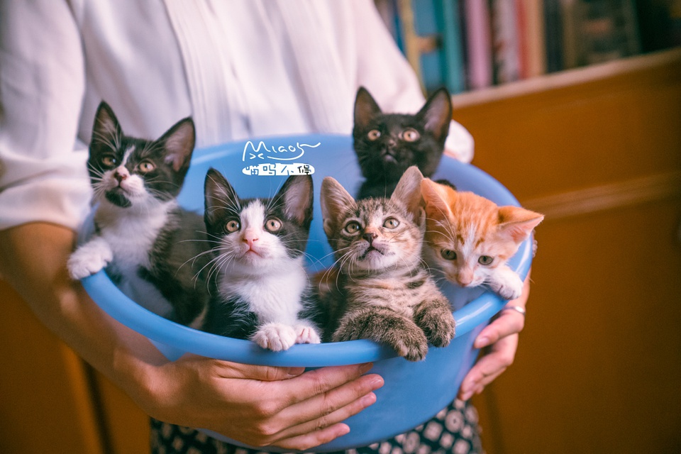 豆瓣日记10月,豆瓣日记