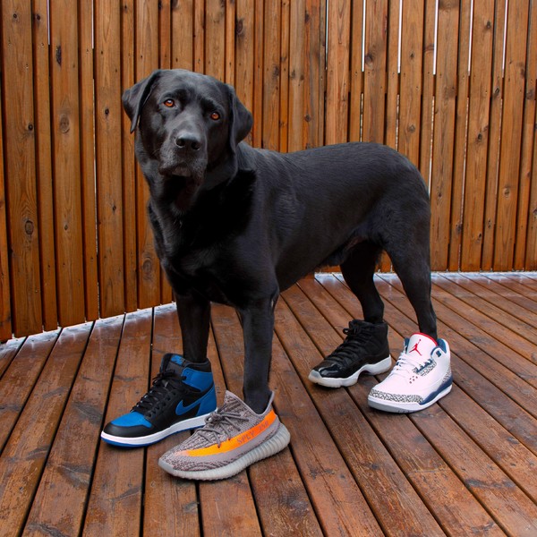 用完神仙水直接用防晒隔离可以吗,神仙水可以用来当防晒吗