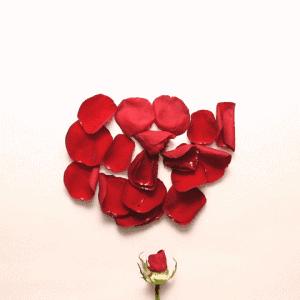 36个问题能让人坠入爱情,三十六个问题让对方爱上你