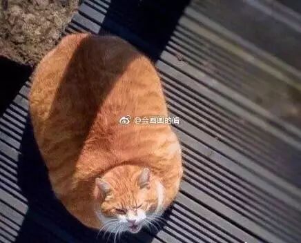 还有比这更尴尬的首次约会吗？女子捡屎被卡住