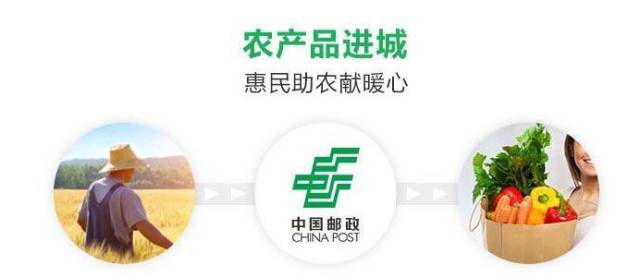 邮乐919专场,邮乐919启动