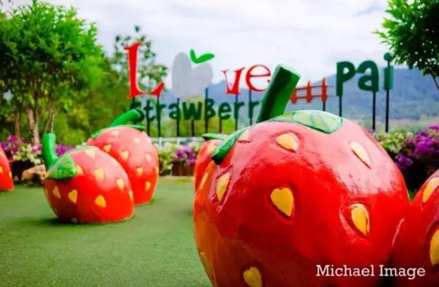 我们相爱吧无尾熊插曲,我们相爱吧无尾熊探班