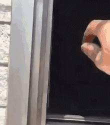 狗狗当老板有模有样,狗狗开店当老板