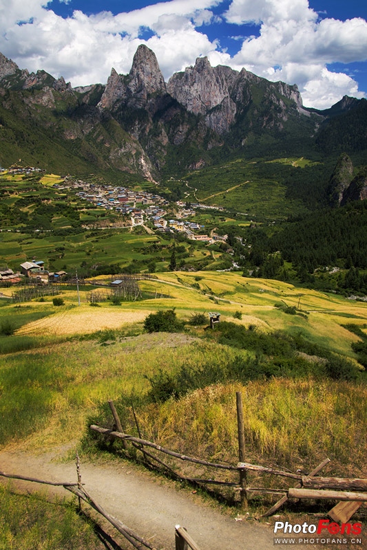 一镜走天下镜头推荐腾龙17-70,一镜走天下腾龙z70-300