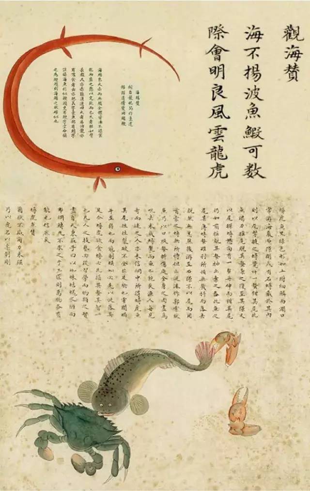 大千世界无奇不有这种鱼你见过吗,世界之大无奇不有鱼都会走路