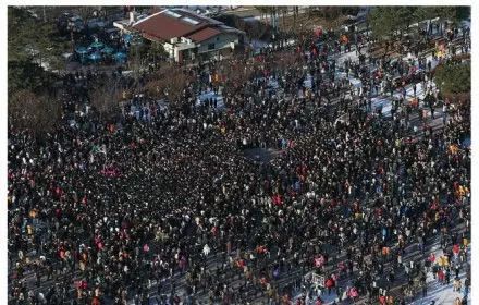 日本收单身税吗,日本收单身税靠谱吗