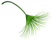 央企校园招聘岗位,校园招聘最好十大央企