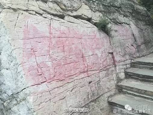 陈志成照片,陈志成现身道歉