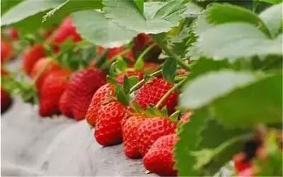 吐血整理的6条建议,神木全攻略