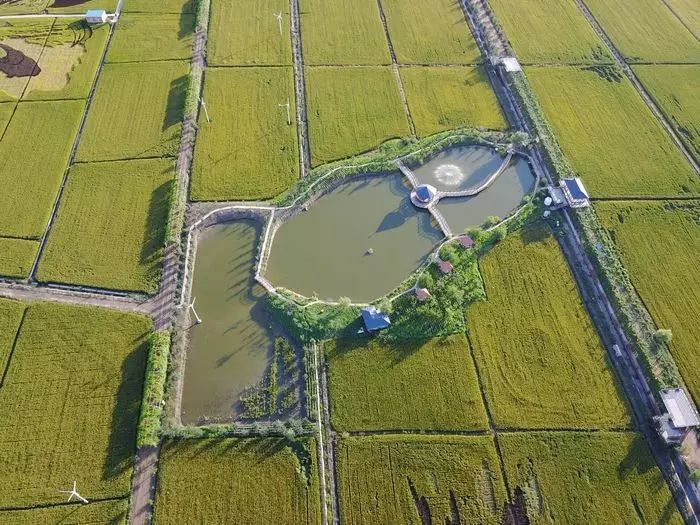 沈阳稻梦空间,沈阳稻梦空间星空
