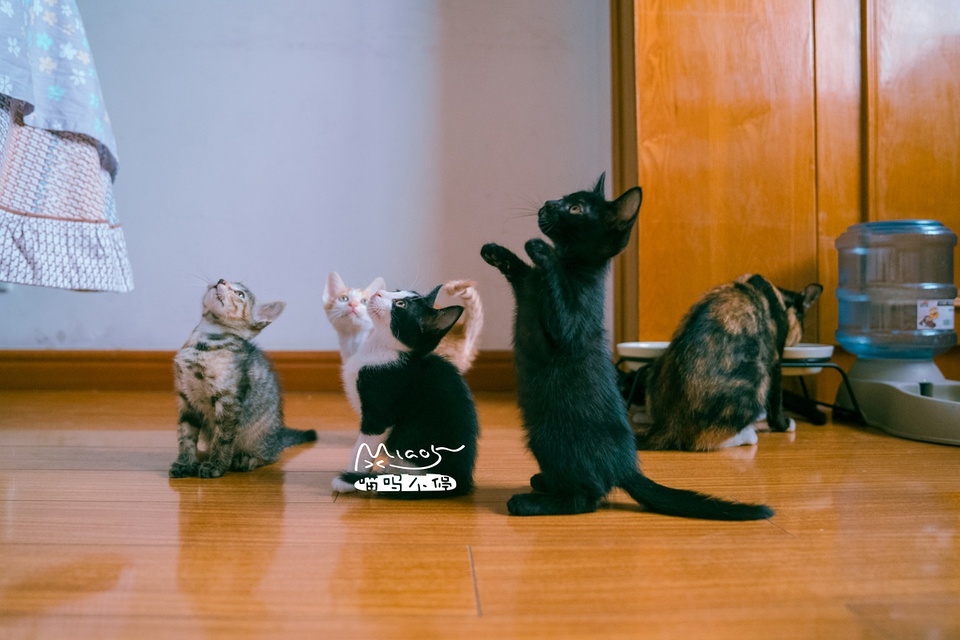 豆瓣日记10月,豆瓣日记