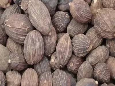 美丽的河口一日游,秋色正好邂逅大美河口