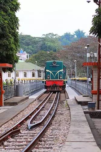 美丽的河口一日游,秋色正好邂逅大美河口