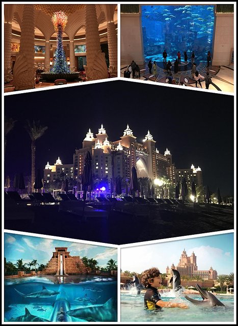 迪拜自驾七日游攻略,迪拜自驾游一日游攻略