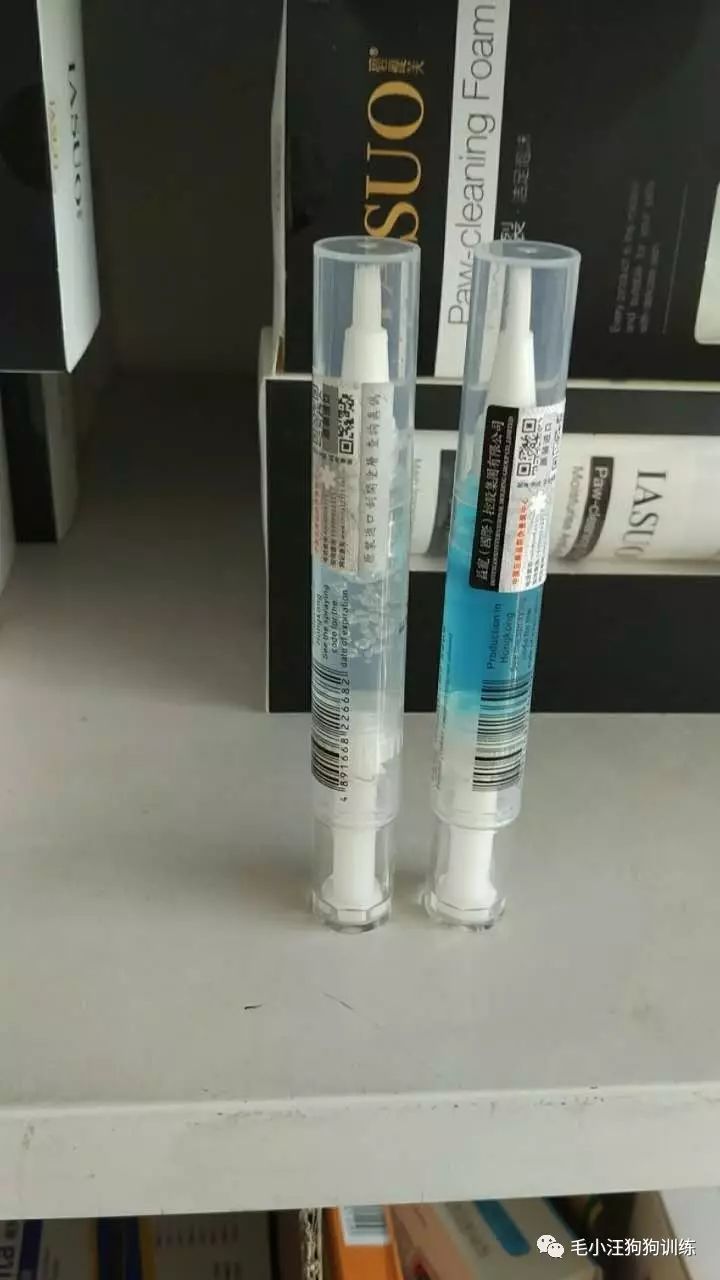 小泰迪第一次外出,小泰迪到新家