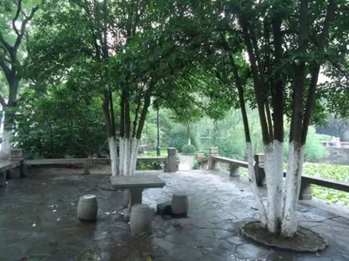 298000㎡！园区将要兴建42个足球场那么大的绿地公园！未来还有这么多公园要面世！