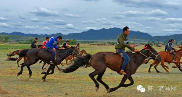 大草原传统赛马,中西结合赛马