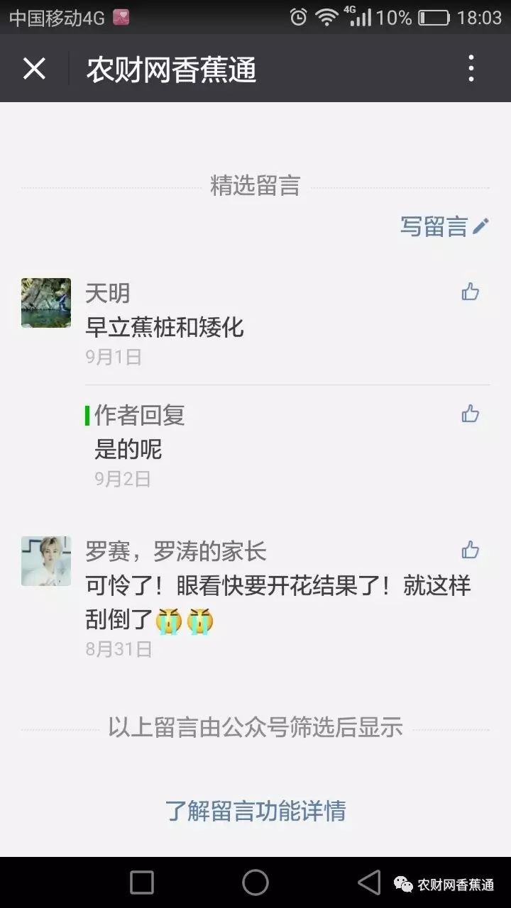 树木如何大面积抗台风,防台风比较好的树木