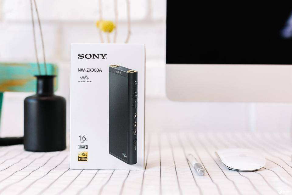 索尼nw-a306和zx300a哪个好,索尼walkmannw-e393