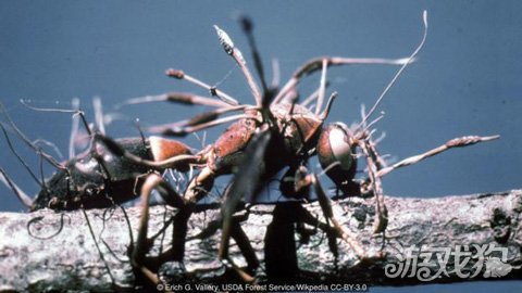 世界末日题材的游戏,为什么有人喜欢世界末日游戏