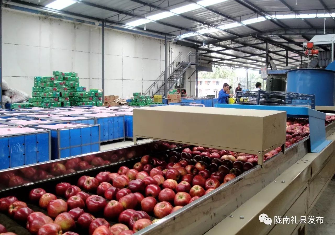 礼县扶贫工作,甘肃礼县产业扶贫项目