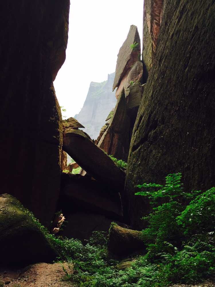 走近你就走进了痛苦出自哪里,走近你就是走近痛苦