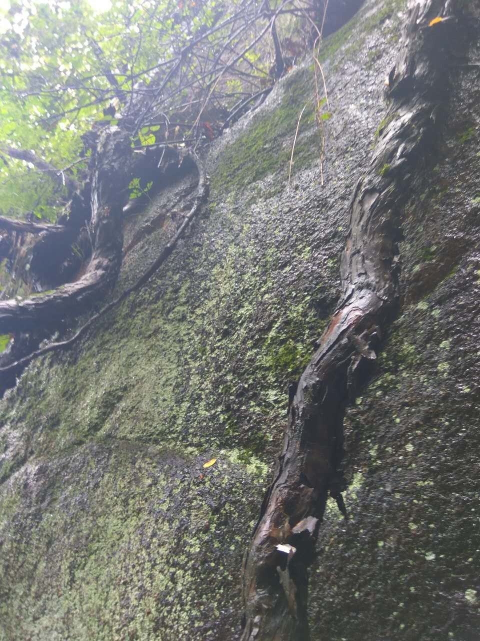 焦作特种兵一日游景区,焦作炮兵旅旅游攻略