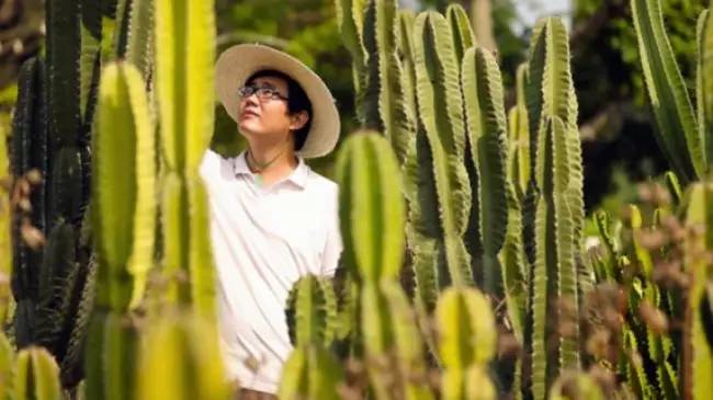 为什么韩国的多肉出名,韩国多肉为什么那么美