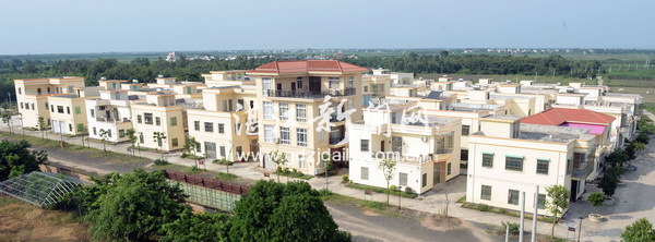 文明润民心新风扑面来,文明新风拂面来乡村焕发新活力