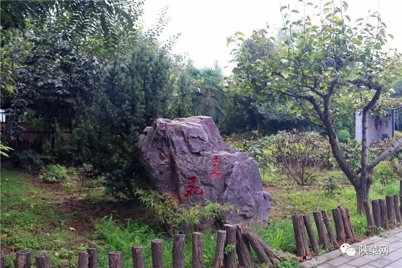 西安最好的陕菜在哪里,西安陕菜探店