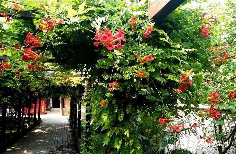 西安最好的陕菜在哪里,西安陕菜探店