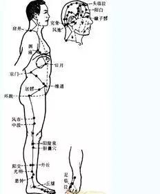 拍打经络补法和泻法,十二经络拍打养身操横屏