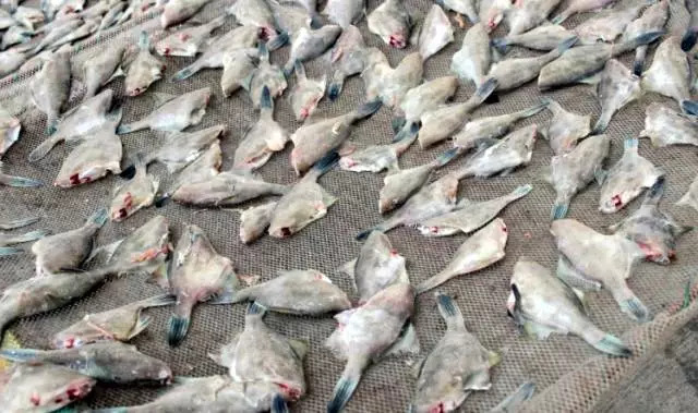 闀垮矝绉嬪ぉ娴烽矞,闀垮矝娣℃贰娓呴