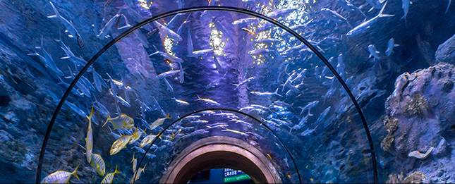 国庆假期出门攻略图文,国庆长假无聊安排