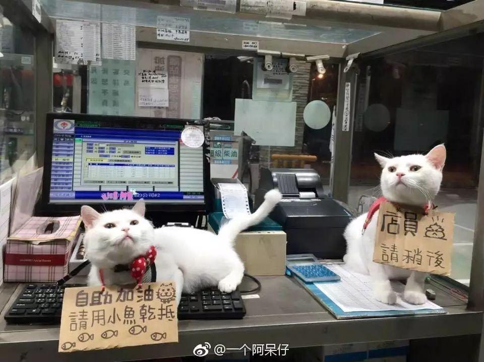 在加油站上班轻松吗,在加油站如何当好一名加油员