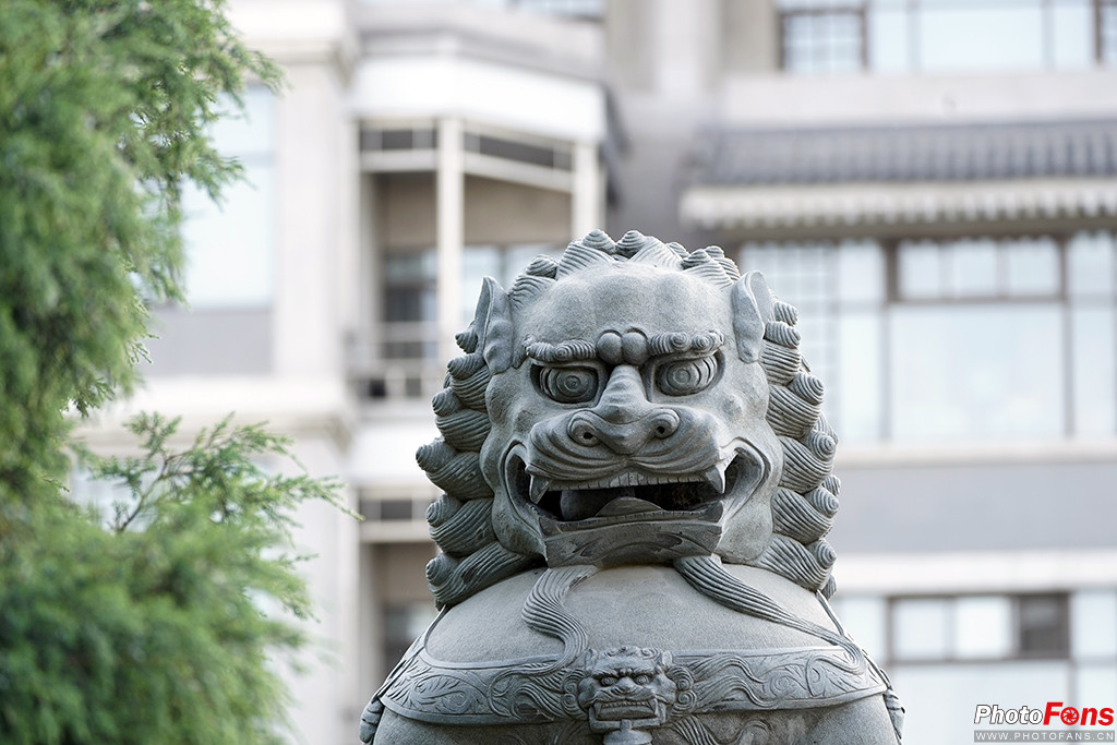 索尼g大师16-35镜头怎么样,索尼sel100400gm