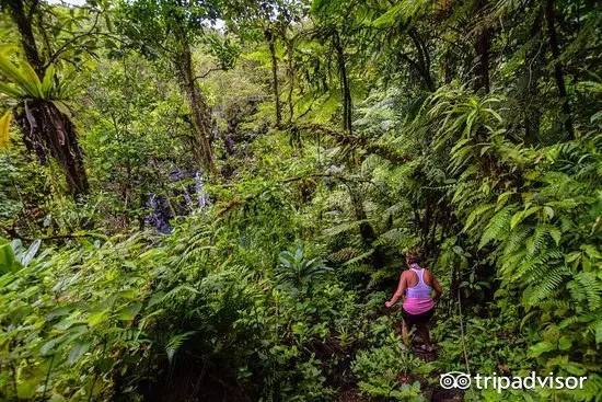 2023十大免签海岛,斐济海岛美景