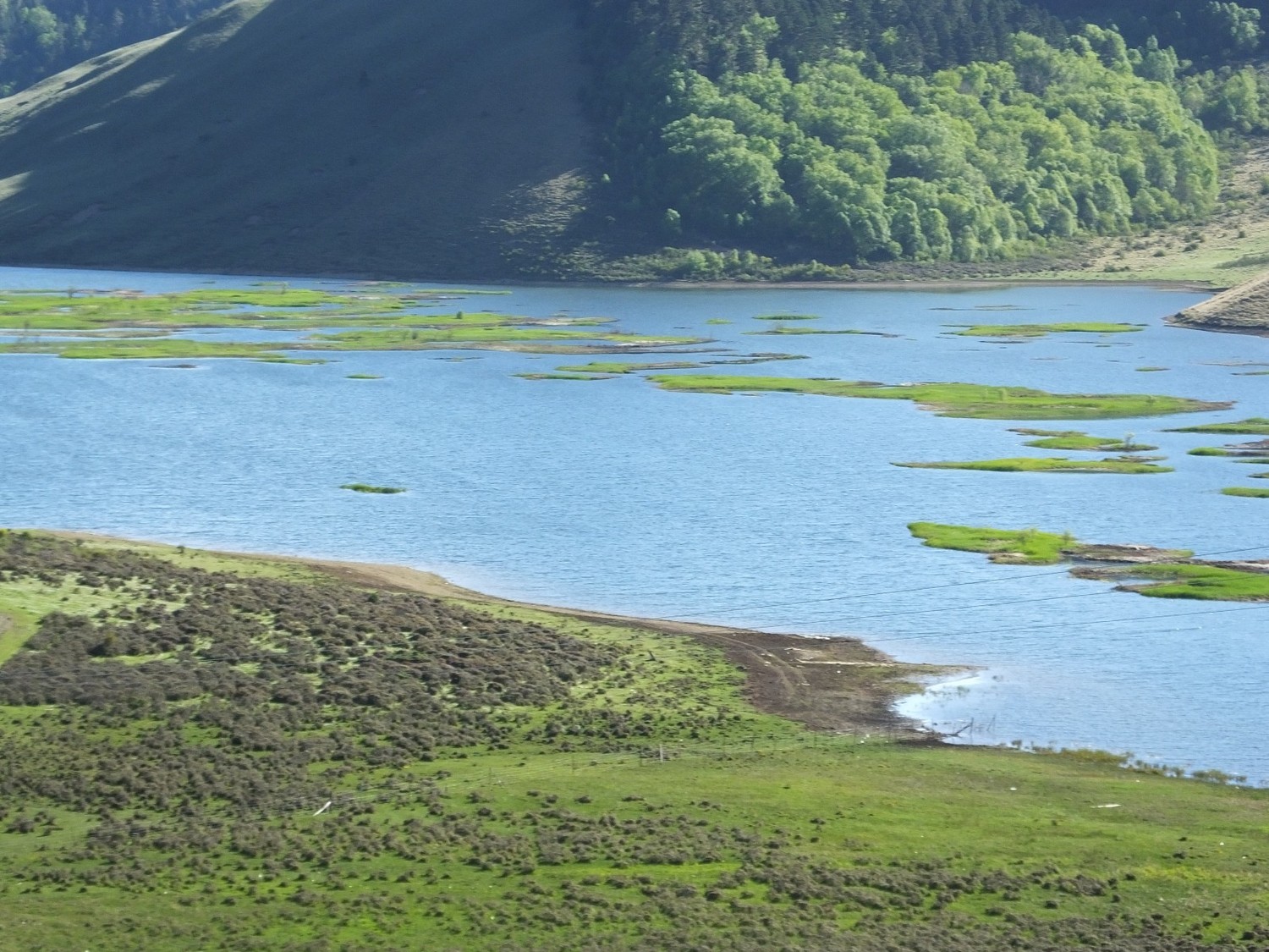 泸亚东线沿途风景,泸亚线穿越原始森林