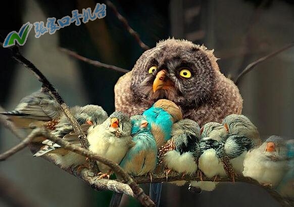 张家口新闻广播今日头条,张家口新闻联播今天