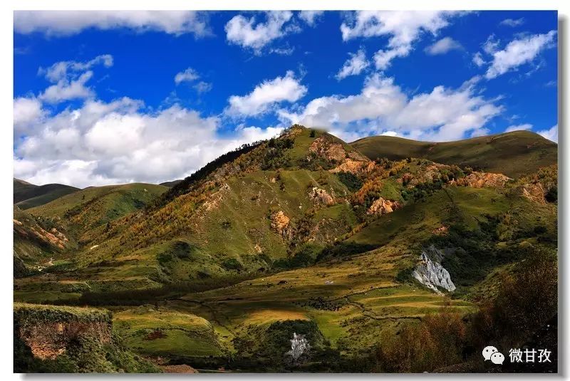 人文｜聆听仙鹤的双翅，你将飞到更高更远的地方……