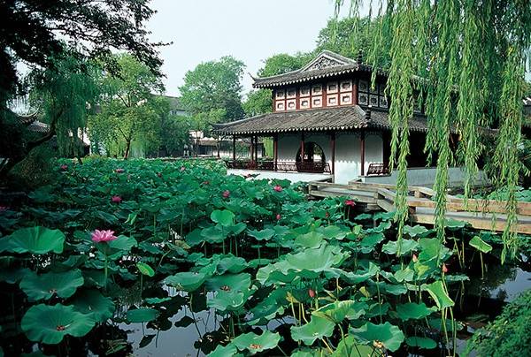 合肥人出国自驾游,合肥市人坐动车外出